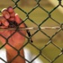 تونس تحتضن مؤتمرا دوليا لنصرة أسرى فلسطين