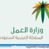 وزير العمل يؤكد أهمية الفرص الاستثمارية لشباب الأعمال في قطاع التجزئة وزير العمل يؤكد أهمية الفرص الاستثمارية لشباب الأعمال في قطاع التجزئة
