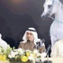اليوم انطلاق مهرجان «الجواد العربي» اليوم انطلاق مهرجان «الجواد العربي»