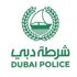 شرطة دبي تكثف جهودها لاقتفاء أثر حيوان طليق في منطقة الينابيع السكنية