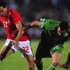 مصر تصطدم بغانا في التصفيات المؤهلة لكأس العالم والجزائر تعرب عن سعادته لتحاشي مواجهة الفراعنة