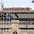 ليبيا تحظر دخول الفلسطينيين والسودانيين والسوريين لاراضيها ليبيا تحظر دخول الفلسطينيين والسودانيين والسوريين لاراضيها