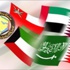 الاتفاقية الأمنية بين مجلس التعاون تلقى قبول المملكة