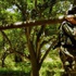 وتستمر المقاومة…