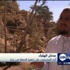 حكومة اليمن تبدأ حملة لاقتلاع أشجار القات