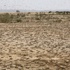 مكافحة الجراد: المملكة تصدت لـ29 سرباً مكافحة الجراد: المملكة تصدت لـ29 سرباً
