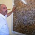 مدرسة ثانوية جديدة تابعة للمجلس المحلي في عبلين