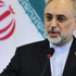 وزير خارجية ايران: طهران مستعدة للدعوة لانسحاب المقاتلين الاجانب من سورية