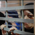 مركز فلسطيني: أوضاع الأسيرات "لا يطاق"