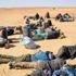 النيجر: قتلى في تدافع خلال توزيع مساعدات على لاجئين