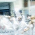 وزير الكهرباء اليمني يصف علي صالح بأنه «زعيم عصابة وكذاب أشر وأهبل» وزير الكهرباء اليمني يصف علي صالح بأنه «زعيم عصابة وكذاب أشر وأهبل»