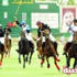 لقب كأس الإمارات سيفتح الآفاق لرياضة “ البولو ” في السعودية لقب كأس الإمارات سيفتح الآفاق لرياضة “ البولو ” في السعودية