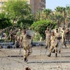 الجيش الثالث الميداني بالسويس يدعو إلى نبذ الفتن والتوقف عن التحريض