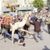 «موقعة الجمل»... براءة