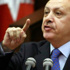 أردوغان: شعب تركيا سيحمي حكومته