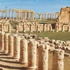 الأزهر الشريف يدعو المجتمع الدولي لحماية المواقع الأثرية من تنظيم داعش الأزهر الشريف يدعو المجتمع الدولي لحماية المواقع الأثرية من تنظيم داعش
