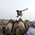 دبي تسعى إلى النصيب الأكبر من كعكة السياحة العـلاجية العالمية البالغة 220 مليار درهم سنوياً دبي تسعى إلى النصيب الأكبر من كعكة السياحة العـلاجية العالمية البالغة 220 مليار درهم سنوياً