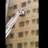 فيديو / الدفاع المدني ينقذ قطة عالقة بين الدور الخامس والسادس فيديو / الدفاع المدني ينقذ قطة عالقة بين الدور الخامس والسادس