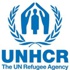 مفوضية اللاجئين تدعو المجتمع الدولي إلى مساعدة اليمن