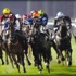 الخيل القطرية تواصل تحقيق الإنجازات في فرنسا