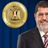 الرئاسة المصرية: الشورى مستمر في دوره التشريعي