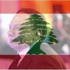 عادل إمام عن التعاطف مع ضحايا هجمات باريس: لبنان أقرب من فرنسا