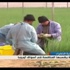 زراعة التوابل الخضراء لأول مرة في غزة لتصديرها زراعة التوابل الخضراء لأول مرة في غزة لتصديرها