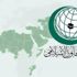 «التعاون الإسلامي» لمجلس الأمن: أوقفوا همجية الاحتلال الإسرائيلي