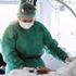 الجزائر ترفع حظر التجوال مؤقتا بعد انحسار فيروس كورونا