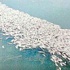 نفوق الأسماك يعود إلى الواجهة