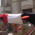 المنيا: جنازة عسكرية شعبية ''لشهداء الحدود'' صباح الثلاثاء