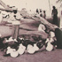 1974 سوق الجرار في العين عناق التاريخ والحاضر
