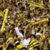 نور: الاستقبال ليس غريبا على جماهير الاتحاد وسنرد على وفائهم بالمستويات