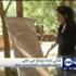أهالي بلدة دوينتزا في مالي تحتفل بانسحاب المتشددين منها