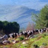 مزارعو عكار: لتعويضات تُمكننا من معاودة زراعة أراضينا