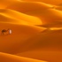 معرض لإبداعات 34 مصوراً