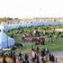 الجبيل تستبدل دخان المصانع ب «روائح الأزهار»