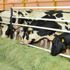 علماء ينجحون في تدريب الأبقار على استخدام دورات المياه