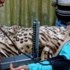 مركز صحي يقدم الفحص والعلاج مجاناً للمرضى المتعففين