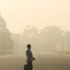 المحكمة العليا بالهند تطالب السلطات باتخاذ إجراءات لمكافحة تلوث الهواء
