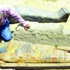 علماء ينقبون عن مقابر فرعونية