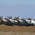 واشنطن ترجح إصابة الدفاعات السورية الطائرة الروسية خطأ