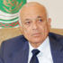 الجامعة العربية ترشد الطاقة