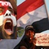 وزير خارجية مصر: نحن مع أي حل يرضي الشعب السوري