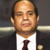 السيسي يرى الرّد المتسرّع على الكارثة الجويّة خدمة لـ'أهل الشرّ'