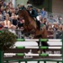 لندن 2012- فروسية: السعودية تحمل آمال الفروسية العربية لندن 2012- فروسية: السعودية تحمل آمال الفروسية العربية