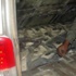 الجمارك تحبط تهريب مليون حبة مخدرة