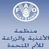 الأمم المتحدة: 2013 عام الازمة الغذائية العالمية