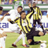 هجرة الأجانب الشتوية تنطلق من الدوري السعودي