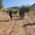 في فيديو الذبح… علي لم يقل “أخخّ”